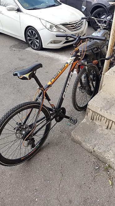 Aster velosiped – şəhər və yüngül off-road sürüşlər üçün. - Çərçivə