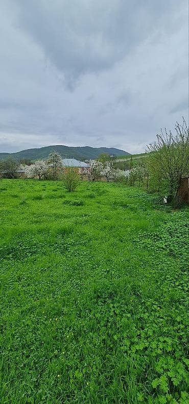cıdır düzü: 12 sot, Tikinti — 2