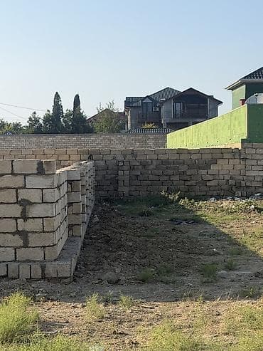 saray torpag: Tikinti, Kupça (Çıxarış) — 6