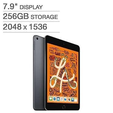 чехол ipad 2: Б/у Apple iPad mini 5 (2019), 7,9", 256 ГБ, Самовывоз, Бесплатная доставка, Платная доставка — 1