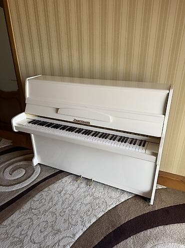 Piano, Zimmermann, Akustik — 9