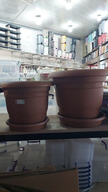 güldanda gül şəkilləri: Dipçekler Gül qabilar ferqli modeller ferqli ölçulerde 1 aznden — 5