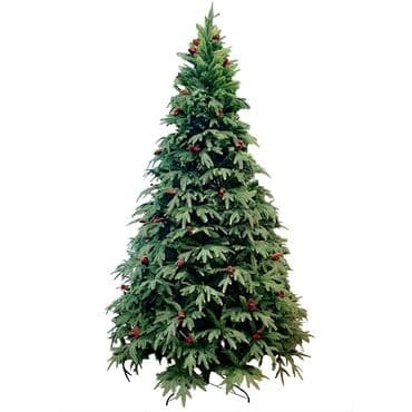 купить живую елку в баку: Yeni il ağacı 👍Yenidir say çoxdur, çatdırılma var Qiymət: 120 sm — 1