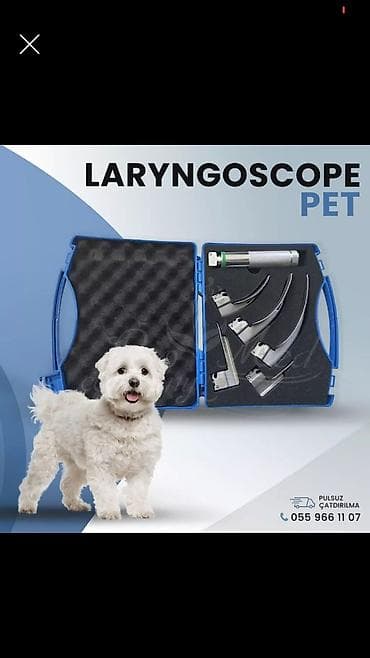 Heyvanlar üçün lorinqoskop