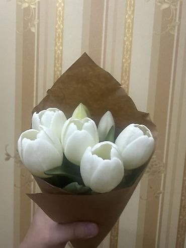 tulpani: Ağ lalələrdən ibarət mini buket - Kompozisiya: 7 ədəd ağ lalə (real — 2