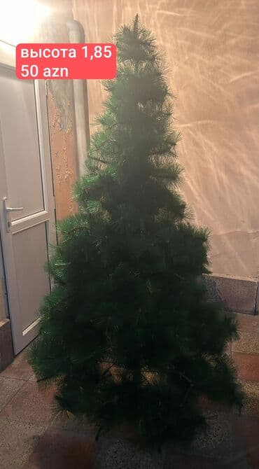 Bitkilər: Süni şam ağacı - Hündürlük: 1,85 m (şəkildə göstərilib) - Qiymət: 50 — 1