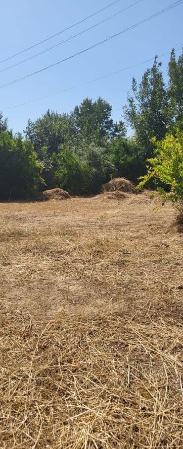 xacmaz evlər: 46 соток, Для сельского хозяйства, Собственник, Купчая — 9