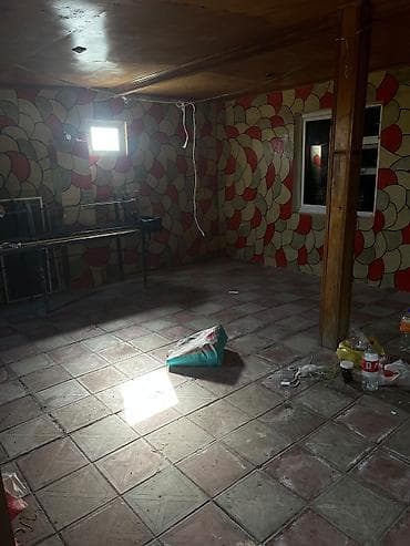 berde ev: Bağ sahəsi və yardımçı tikili - Üzüm tağları ilə örtülü, yaşıllıqla — 3