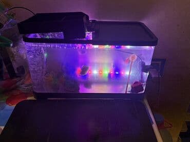 LED işıqlı akvarium seti - Şəffaf plastik gövdəli, qapaqlı akvarium -