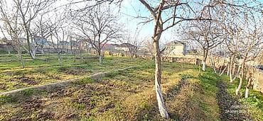 3 sot, Tikinti, Mülkiyyətçi, Kupça (Çıxarış) — 4