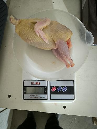 bildirçin əti: Bildirçin əti. Diri satışda olur. Qiymət çəkiyə görə dəyişir — 7