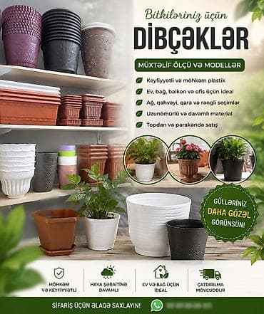 Саженцы растений: 🌿 Dibçəklər – Evinizə və Bağınıza Gözəllik Qatın! 🪴 Keyfiyyətli və — 1