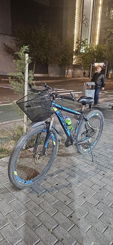 29 luq velosipedlər: Şəhər velosipedi 29" — 1