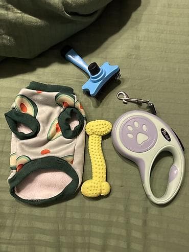 dovsan geyimi: İt üçün aksesuar dəsti Dəst aşağıdakılardan ibarətdir: - Avokado — 2