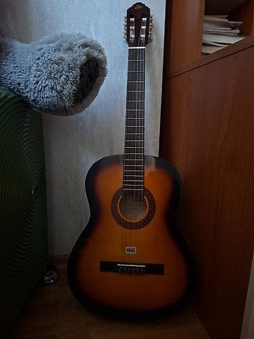 Klassik gitara, İşlənmiş, Ödənişli çatdırılma