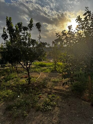 6 sot Tikinti, Qaz, İşıq, Su