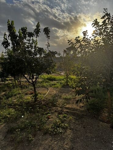 сайты недвижимости в баку: 6 sot Tikinti, Kanalizasiya, Qaz, Su — 1