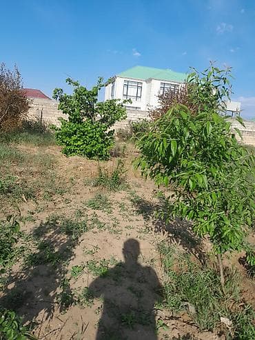 ramani torpaq satisi: 10 sot, Tikinti, Mülkiyyətçi, Kupça (Çıxarış) — 6