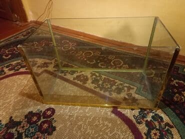 qaz balası qiymeti: Uzunu 55 sm,eni 29, hùndürlük 34 — 1