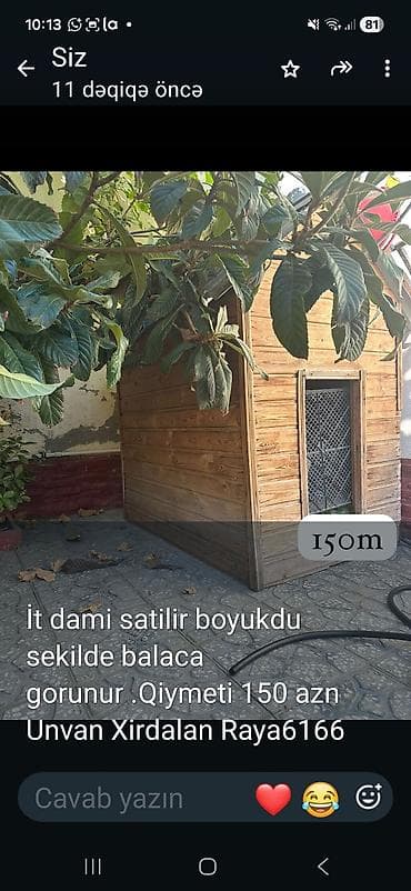 Böyük ölçülü it damı - Material: təbii ağac panellər, möhkəm lalafo.az -da Böyük ölçülü it damı - Material: təbii ağac panellər, möhkəm