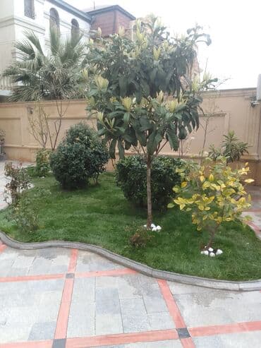 ищу работу садовник на дачу: Salam bağ evlərində, Abyektlərdə parklarda bağban xidməti görülür — 21