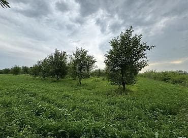yeni emlak az: 210 sot, Kənd təsərrüfatı, Mülkiyyətçi, Kupça (Çıxarış) — 5