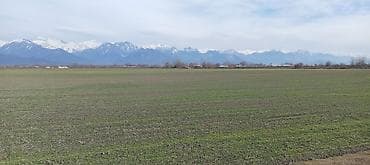 neftciler satilan evler: Kənd təsərrüfatı — 1