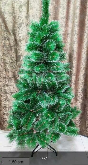 yolka ağacları: Yolka — 3