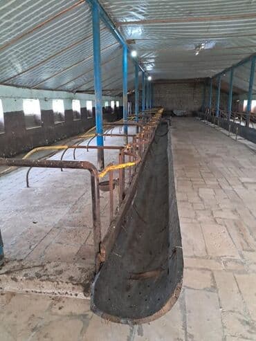 bağ evi satışı: Kənd təsərrüfatı — 17