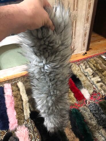 zara xs: Salam Tezedir her gür var ve her bir paltara yarıyır Qaracuxurda — 2