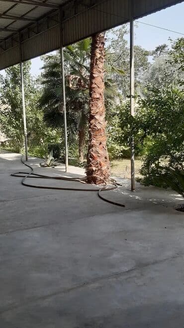 dekor işıq: Bu palma ağacı tropik bir görünüşə malik olub, bağçanıza, həyətinizə — 6