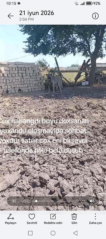 Kaqal satılır boy 95 — 3
