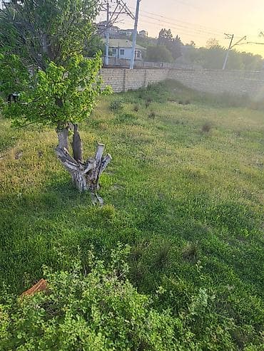 Гаражи: 10 соток, Риэлтор, Купчая — 4