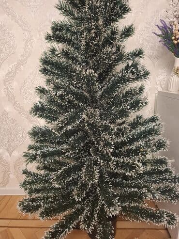 meyve agaci: Ozunden işıqlı yolka - Hündürlük: 1,80 m - Rəng: tünd yaşıl — 6