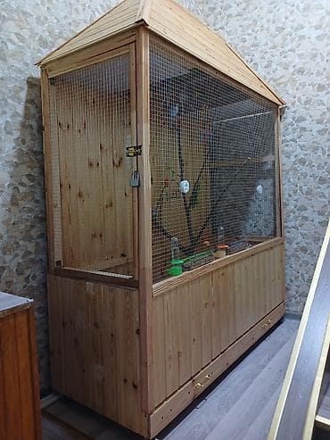 quş ucun qəfəs: 1.50 nin 1.50 yə . papuqaylarla birlikdə satılır — 3