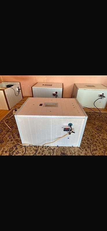 yer pompasi: Bütün növ quşlaq üçün — 1