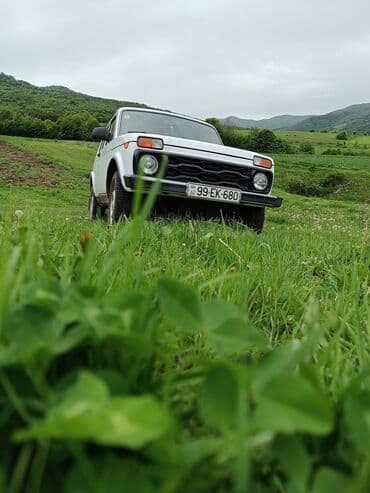 скутер купить бу: ВАЗ (ЛАДА) 4x4 Нива: 1.6 л | 2011 г. Внедорожник — 4