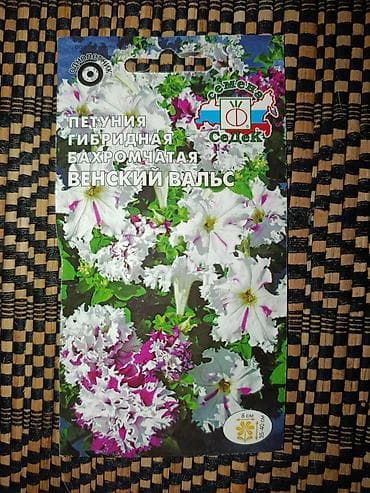 xarı bülbül gülü satışı: Gül və tərəvəz toxumları satılır. Əkim vaxtı mart-aprel-may ayları — 3
