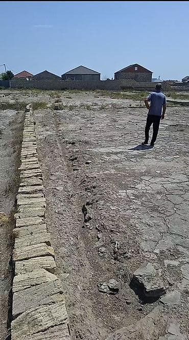 topaq: Tikinti, Bələdiyyə — 5
