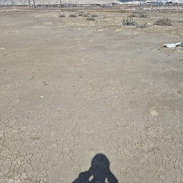 sabuncu torpaq: Tikinti — 6