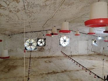 Broylər/quşçuluq ferması üçün avadanlıq komplekti. Təsərrüfat üçün — 8