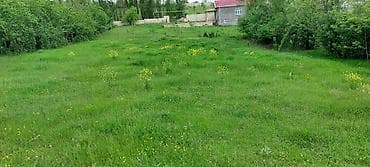 torpag satisi: 20 sot, Tikinti, Mülkiyyətçi, Kupça (Çıxarış) — 6