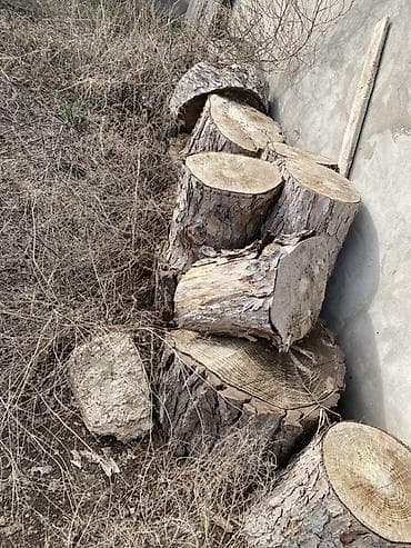 hemise yasil agaclar: Odundan yanacaq – qarışıq ağac növləri • Böyük kötüklər və orta — 1