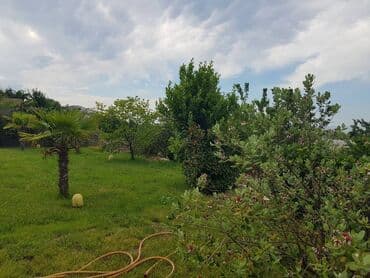 çıxarış nədir: 6 otaqlı, 350000 kv. m, Orta təmir — 2