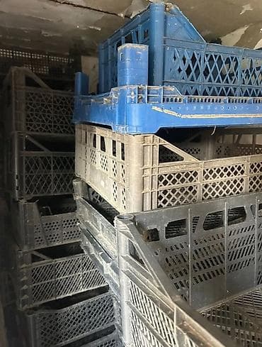 Məhsul: Plastik yığım/daşıma yeşikləri (qablar) Təsvir: - Material — 2