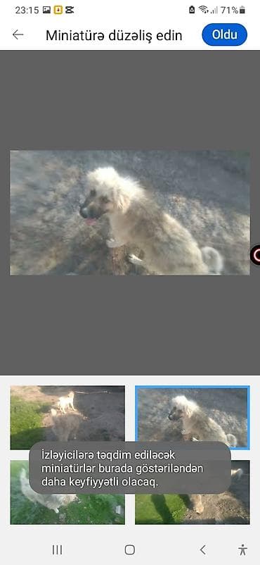 broyler yemi: 3 ay, Erkek — 1