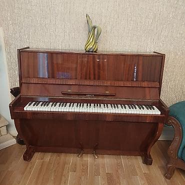 Piano, Belarus, Akustik