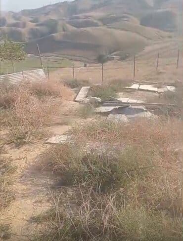 xacmaz torpaq sahesi satilir: Для сельского хозяйства — 1