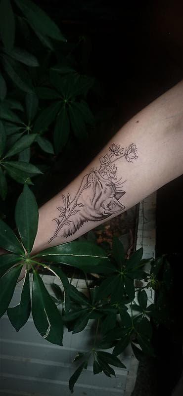 Avto xidmətlər: Detallı və maraqlı işlər üçün müştərilər axtarıram. Qiymətlər 20 — 9