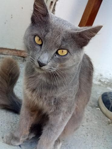 Yaxşı əllərə — 1
